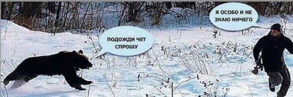В&nbsp;Якутии медведь пытался проникнуть в&nbsp;авто с&nbsp;людьми
