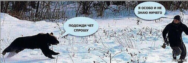 В&nbsp;Якутии медведь пытался проникнуть в&nbsp;авто с&nbsp;людьми