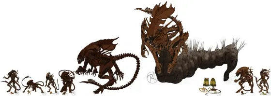 30 видов ксеноморфов из 'Чужого': от классических до редких