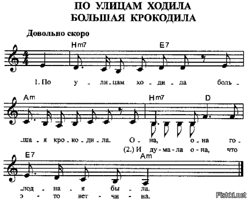 Бродячие коты во Флориде