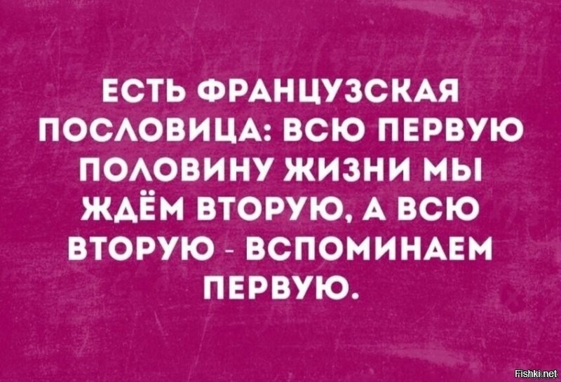 Солянка от 15.06.2025