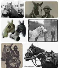 В США эпично отметили день рождения Трампа