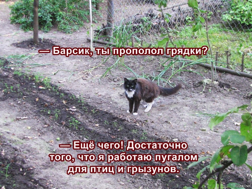 Солянка от 16.06.2025