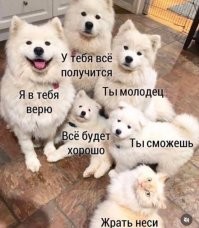 Скрины из соцсетей