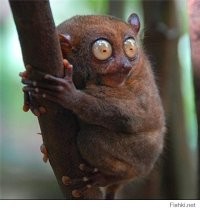 "немножечко отличается"?!