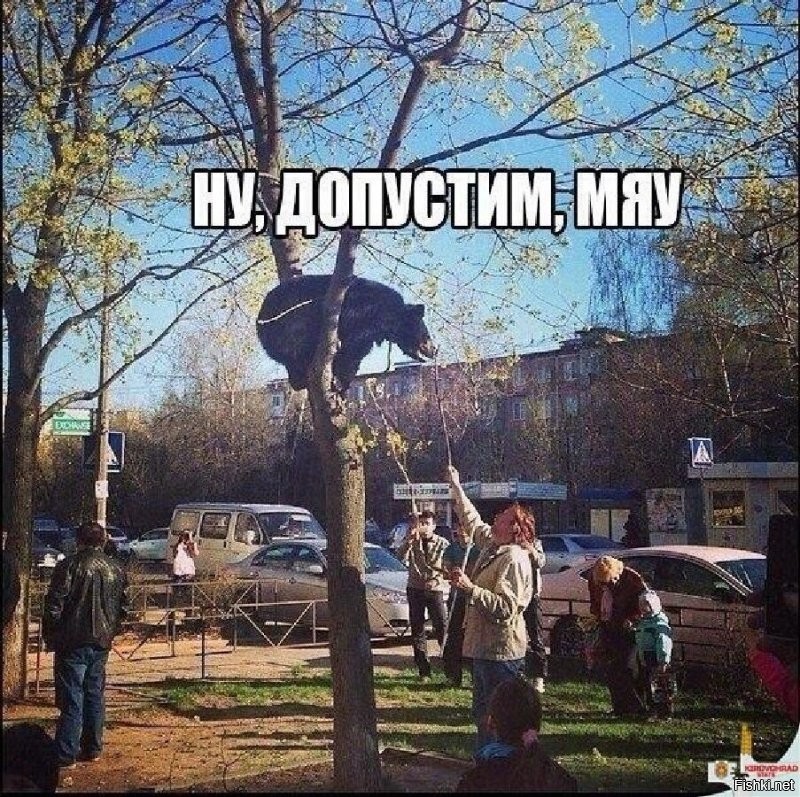 Сборник прикольных демотиваторов