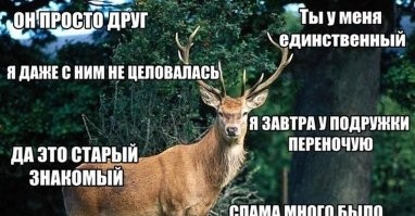 Главное, чтоб не такой