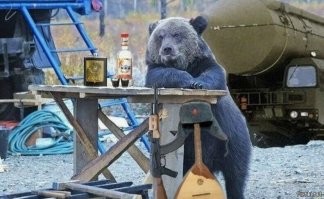 Медведь прогулялся по улицам Усть-Илимска