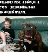 Нападение питбуля на подростков в Бразилии
