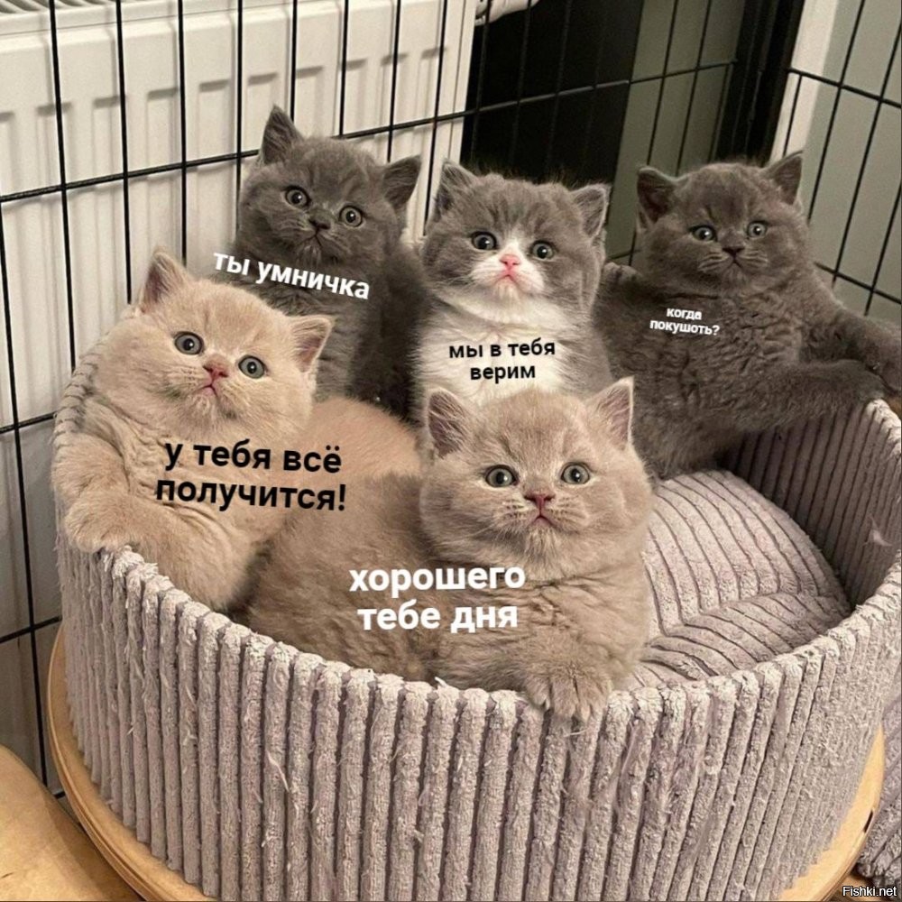 Ещё один способ избежать депрессии)