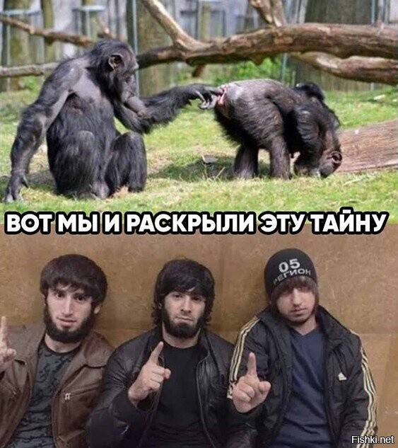 "Пусть еще раз заяву накатает": чеченский стример, ранее оправданный судом, снова оскорбил Е.Мизулину и Шамана