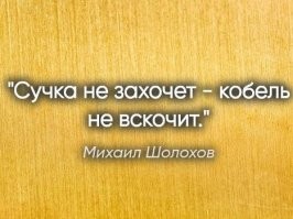 ладно бы ей,но "мабою" то за шо?