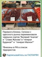 И заметьте: это – адеса.
Та самая адеса, про которую некоторые вспоминают: вот, мол, в 44-м, там местные сами всех падлюк перевешали-постреляли!
Это была Одесса. А сейчас – адеса. И ничего такого уже не будет.