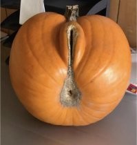 Смешные картинки