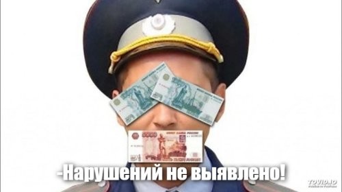 Всех цыганских баронов, задержанных на сходке в Липецкой области, отпустили