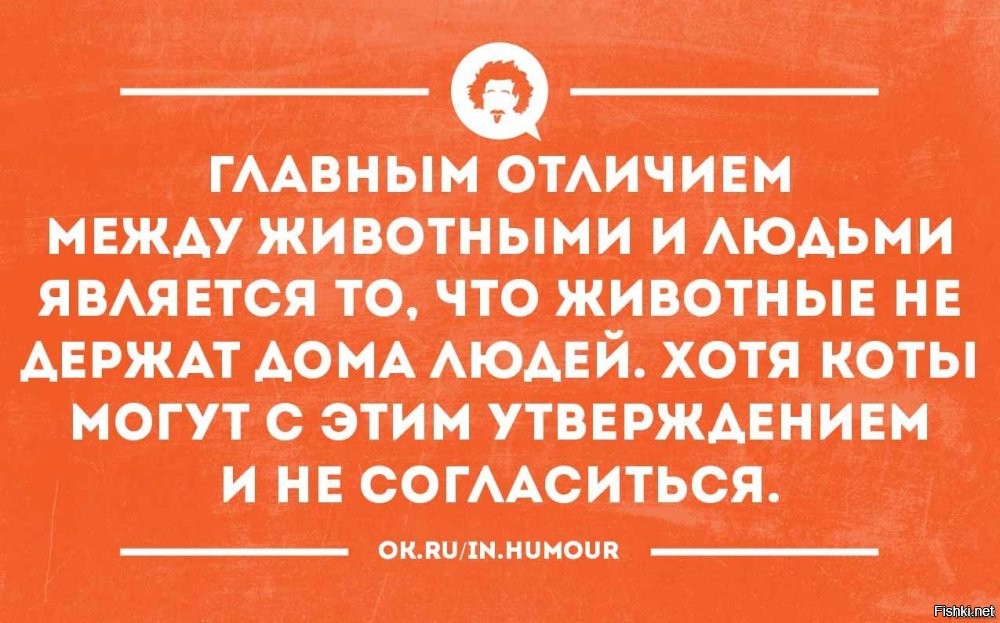 Солянка от 18.06.2025