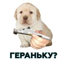 О законных военных целях