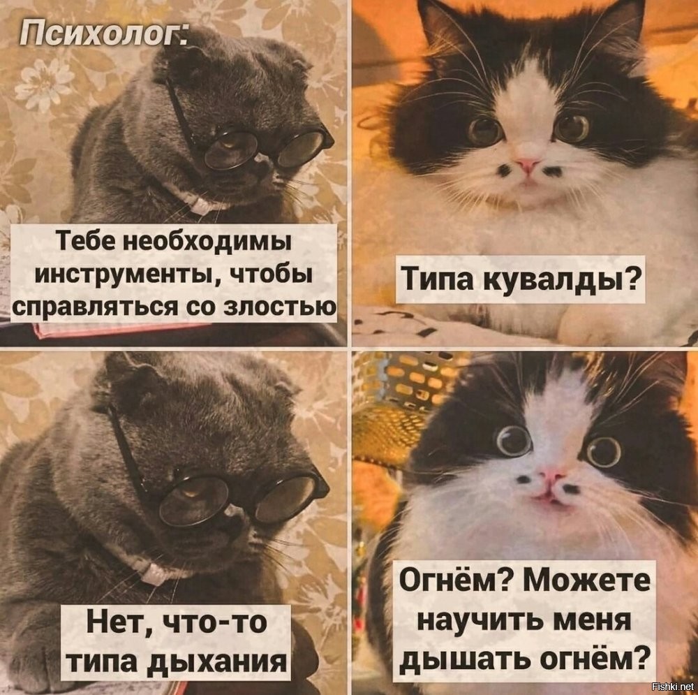 Солянка от 18.06.2025