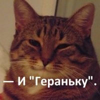 О законных военных целях