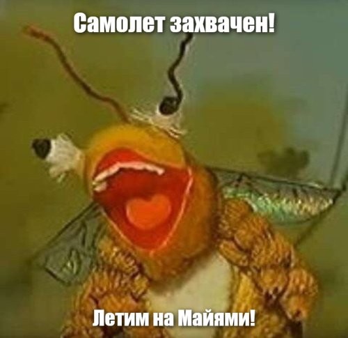 Оса на 40 минут задержала авиарейс из Хабаровска в Москву