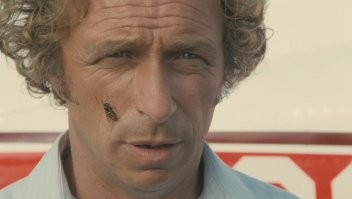 Оса на 40 минут задержала авиарейс из Хабаровска в Москву