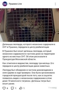 У них ещё и леопард был...