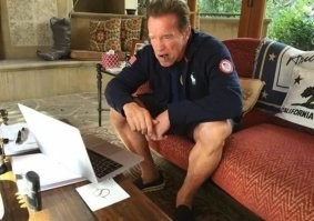 Режиссёр учит пушистых актёров правильно мяукать в кадре