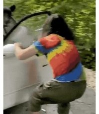 Отжали у мишки тачку.