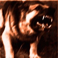 Да собачка просто поиграть хотела же!!!