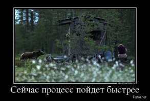 Медведь сбежал от слишком эмоциональной туристки в горах на Ставрополье