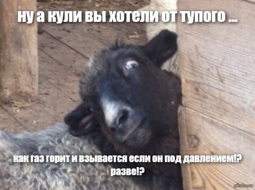 Экспериментатор, который может не дожить до старости