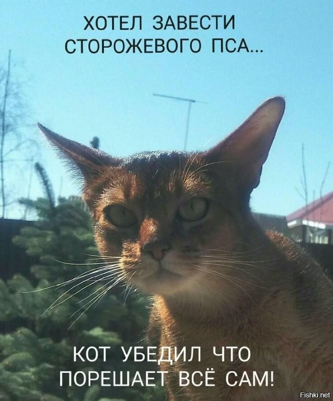 Солянка от 19.06.2025