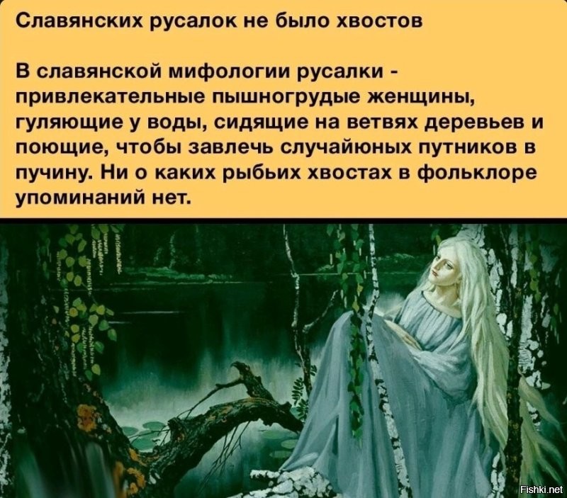 Солянка от 19.06.2025