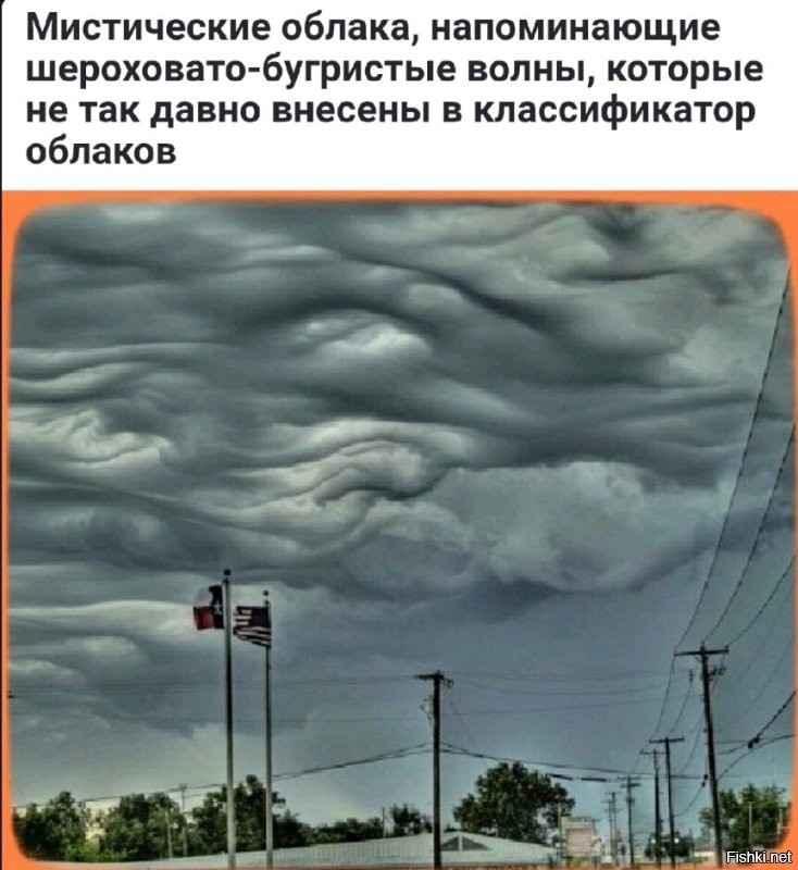 Солянка от 19.06.2025
