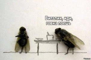 Не ищите здесь смысл. Здесь в основном маразм