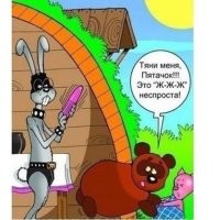 Кот залез в пачку с кормом