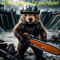 Бобры продолжают эволюционировать