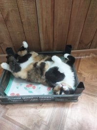 Пока ходил за телефоном,проснулась