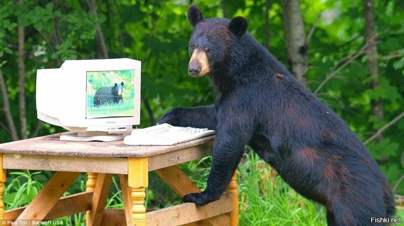 "Могу копать, могу не копать" - Оно?