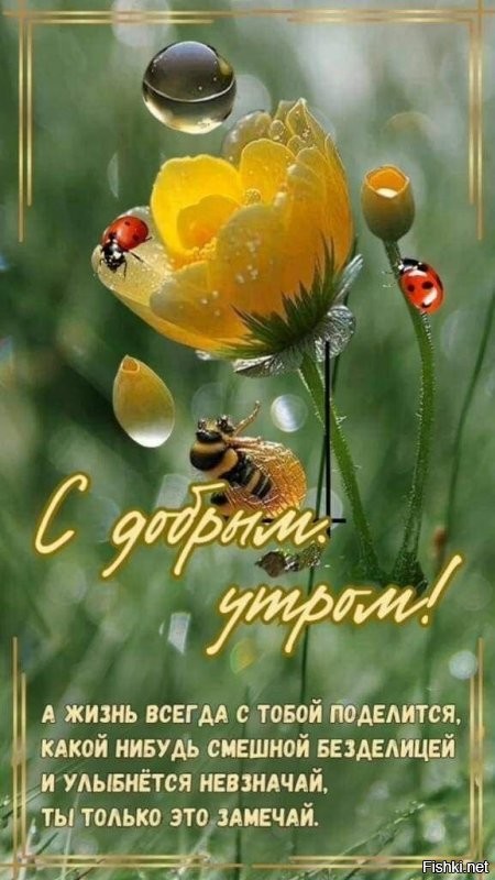 Доброе, спасибо, меня не так легко обидеть