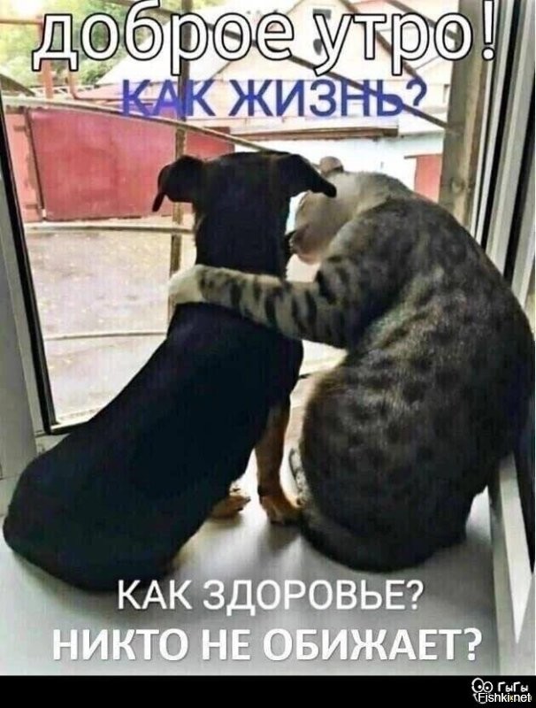 С добрым утром