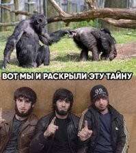 В&nbsp;Дагестане мужчина в&nbsp;одних стрингах преследовал девушек на&nbsp;улице