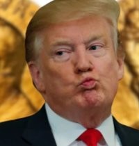 «Трамп поделился своими мечтами о Нобелевской премии мира»