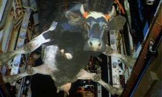 Ну вы поняли)