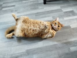 Правитель нашего дома Эрик