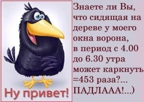 Какие птицы поют в июне
