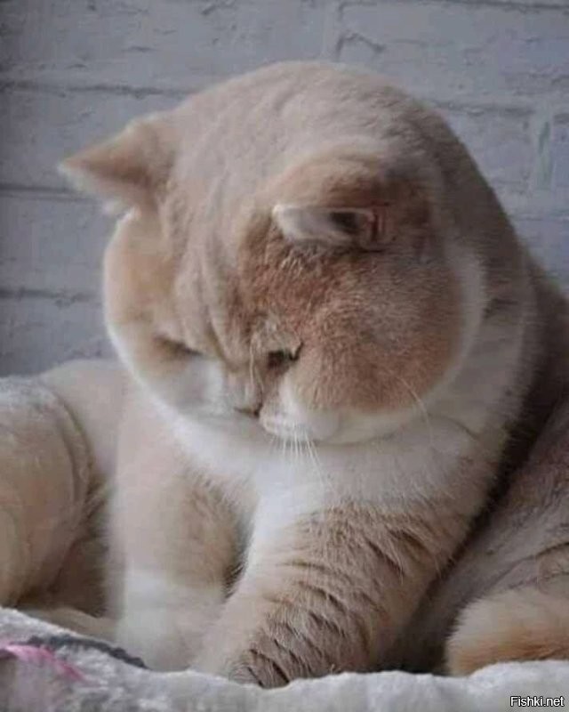 Хорошо )