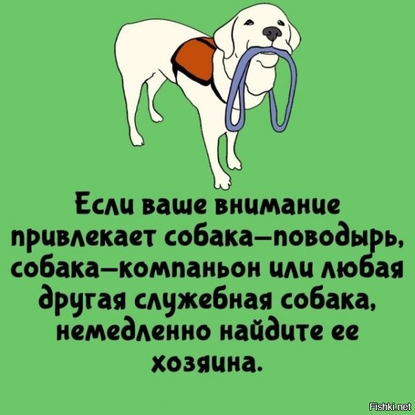 Ага, собака его найти не может, а я, гля, на раз его отыщу.
