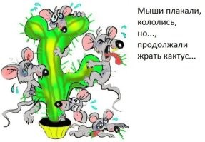 Парень пожалел, что попробовал «самый острый карри Англии»