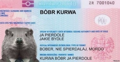 Не ищите здесь смысл. Здесь в основном маразм